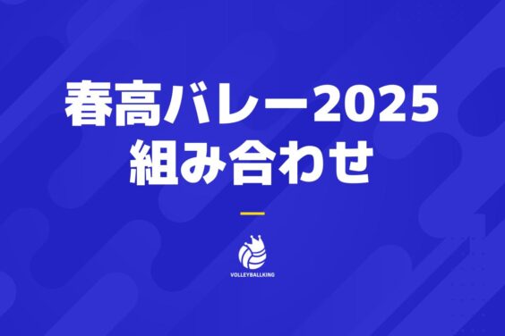 バレーボール 国体 インターハイ 春高 パーカー 2022 （高校